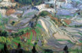 Thumbnail for version as of 07:24, 14 July 2007