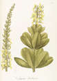 Thumbnail for version as of 13:06, 10 September 2007