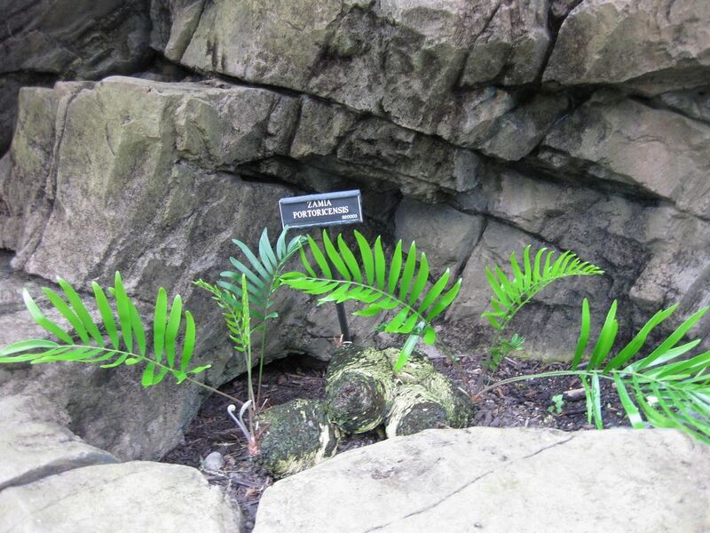 File:1280px-IMG 0911 bbg09.jpg