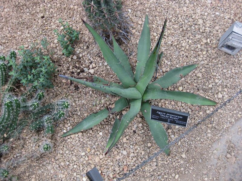 File:1280px-IMG 1290 bbg09.jpg