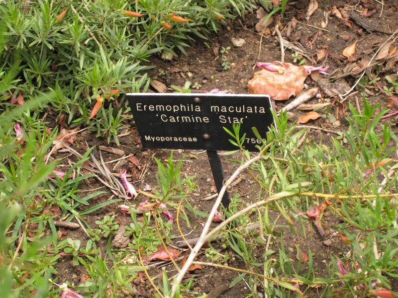 File:1280px-IMG 7301 hunt09jun.jpg