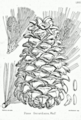 Thumbnail for version as of 09:24, 29 April 2025