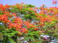 Thumbnail for version as of 14:36, 8 May 2007