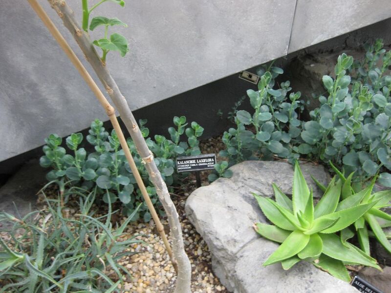 File:1280px-IMG 1256 bbg09.jpg