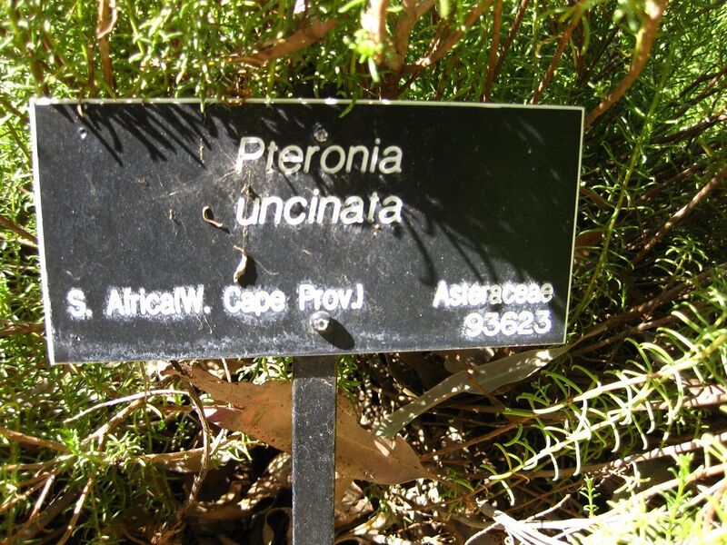 File:1280px-IMG 2076 hunt09oct.jpg