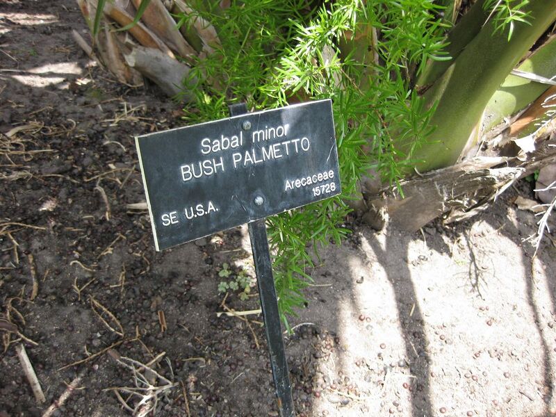 File:1280px-IMG 4161 hunt0904.jpg