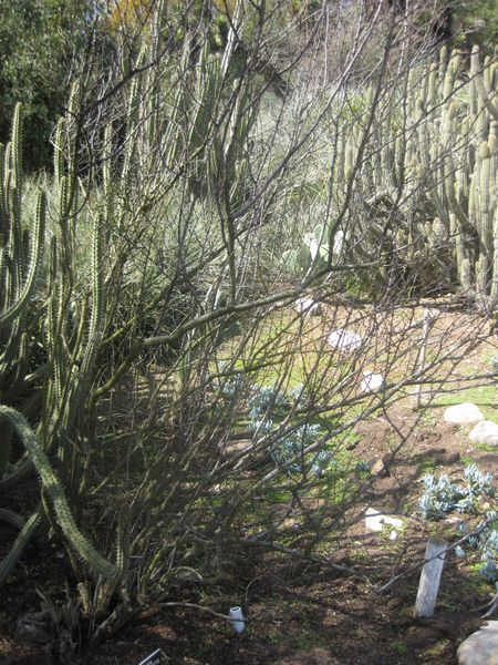 File:IMG 2321 hunt0903.jpg