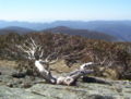 Thumbnail for version as of 10:38, 31 May 2007