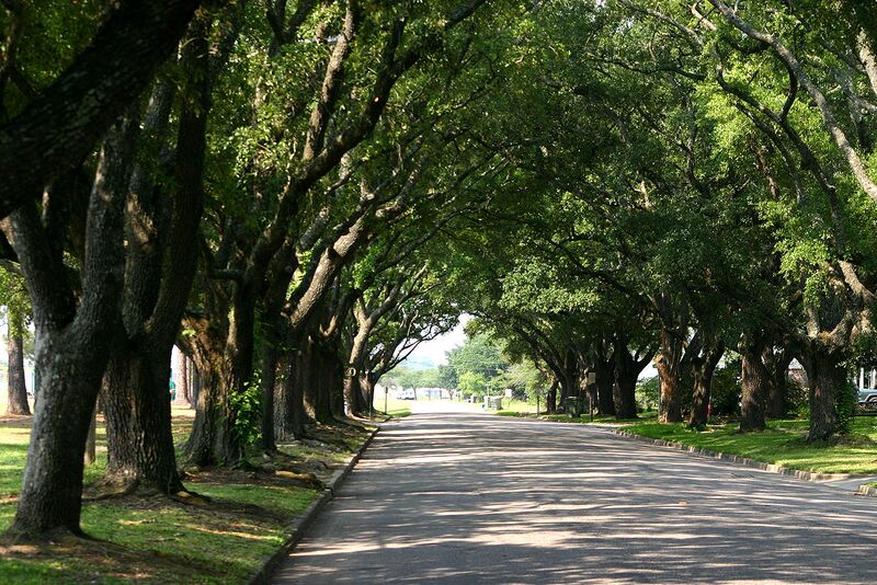 File:1280px-East bay street 2222.JPG