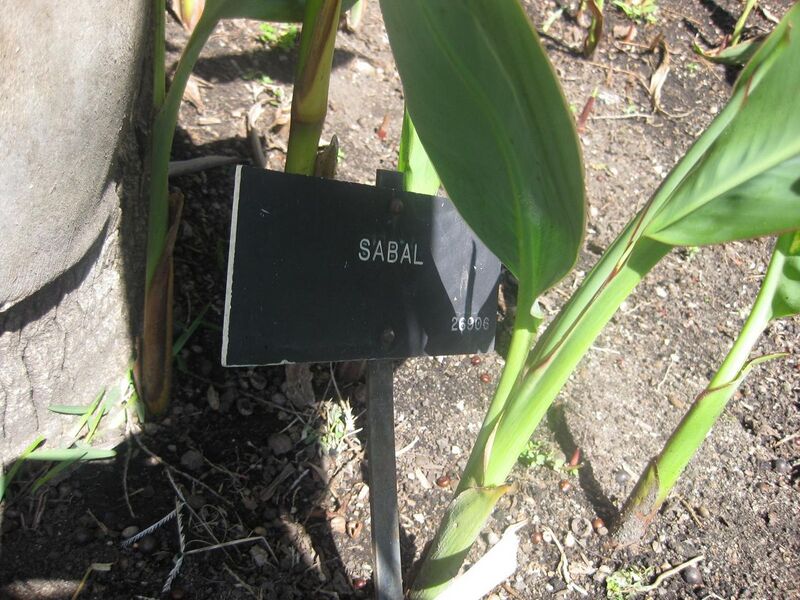 File:1280px-IMG 2110 hunt0903.jpg