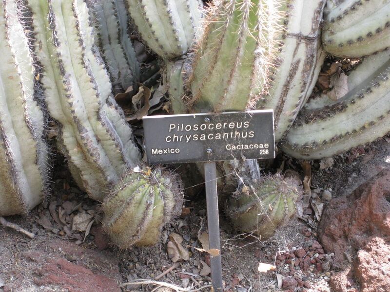 File:1280px-IMG 4273 hunt0904.jpg