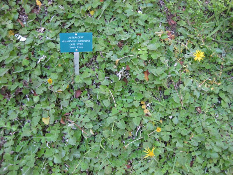 File:Aucy0y2266vrtdlg5f65ayjf67h3mp6.jpg