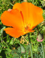 Thumbnail for version as of 05:14, 12 May 2007