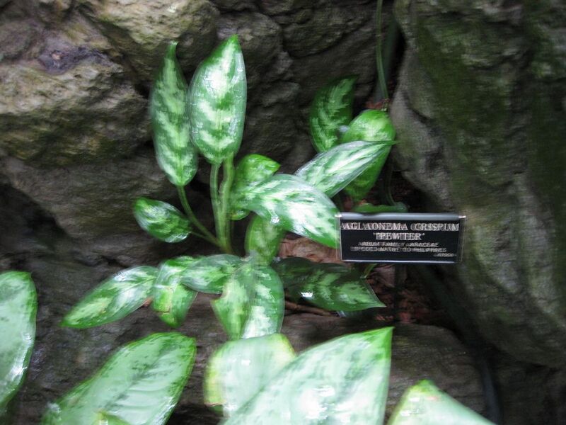 File:1280px-IMG 1055 bbg09.jpg