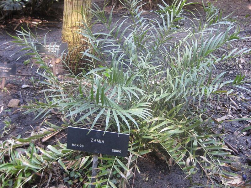 File:1280px-IMG 2020 hunt0903.jpg