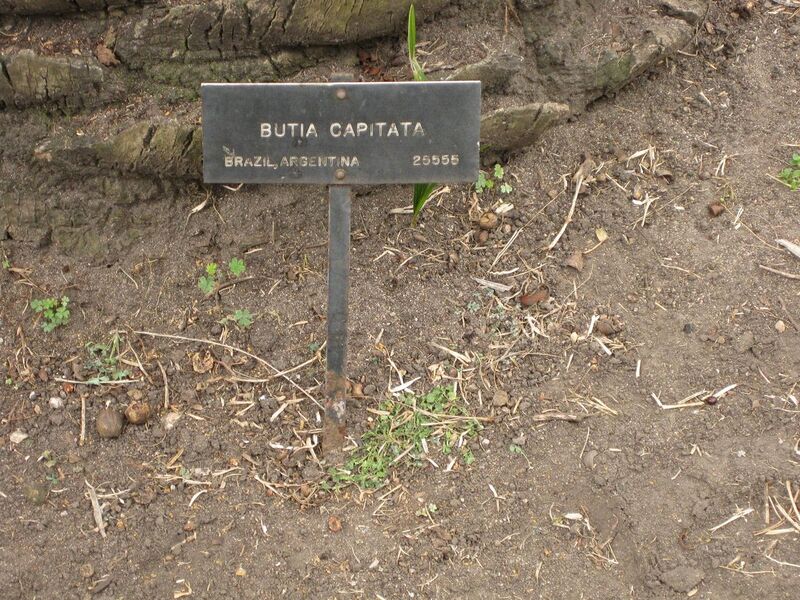 File:1280px-IMG 4073 hunt0904.jpg