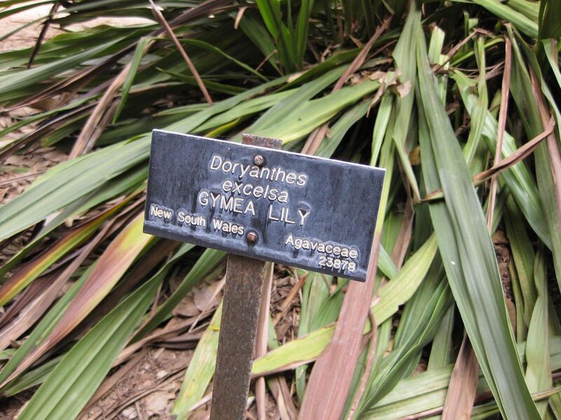 File:1280px-IMG 4770 hunt0904.jpg