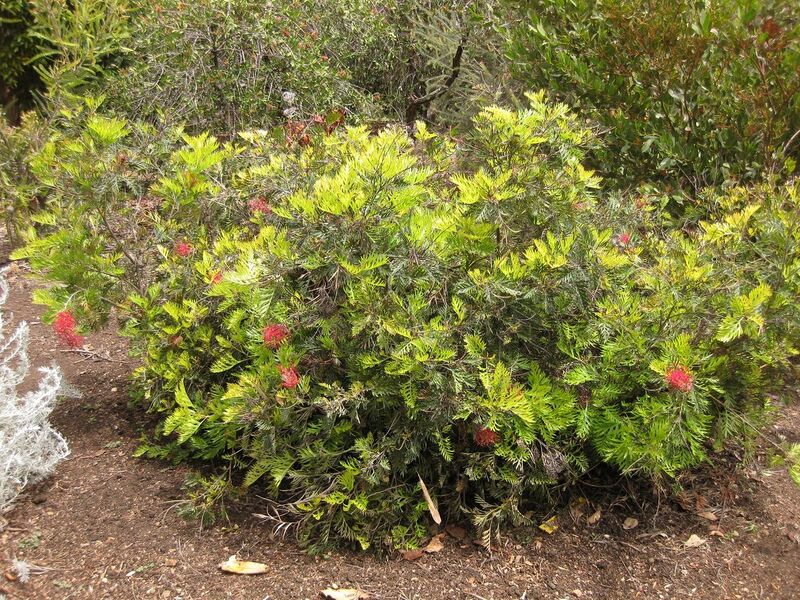 File:1280px-IMG 7315 hunt09jun.jpg