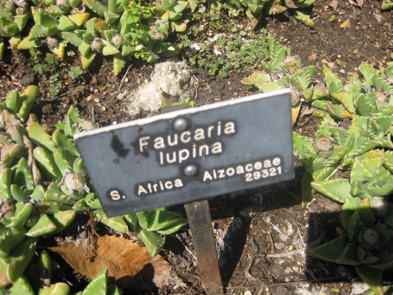 File:IMG 2145 hunt0903.jpg
