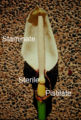Inflorescence of X. daguense