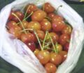 Yamagata cherries