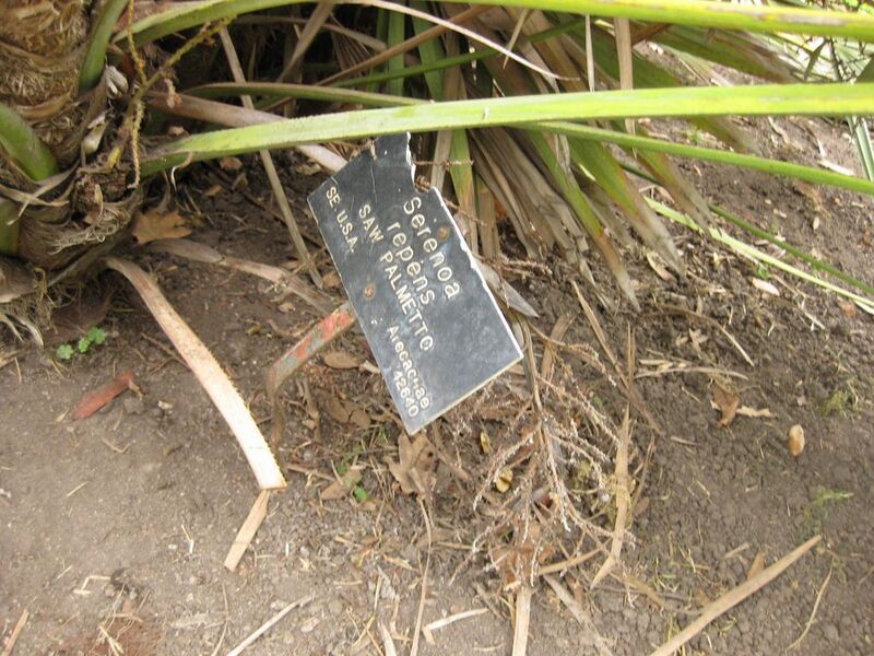 File:1024px-IMG 3933 hunt0904.jpg