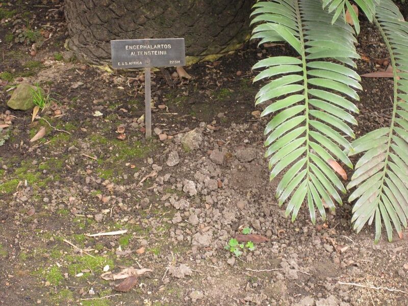 File:1024px-IMG 3988 hunt0904.jpg