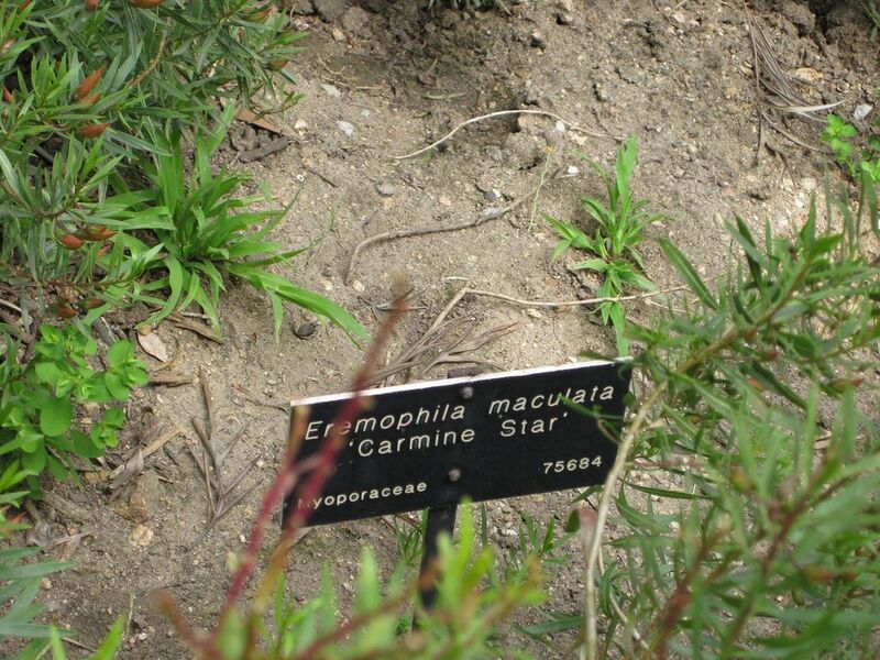 File:1024px-IMG 4587 hunt0904.jpg