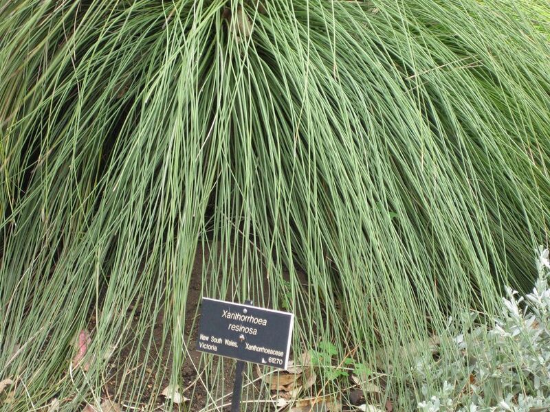 File:1024px-IMG 4784 hunt0904.jpg