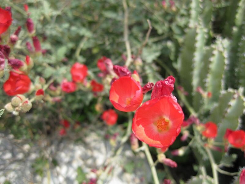 File:1280px-IMG 4410 hunt0904.jpg