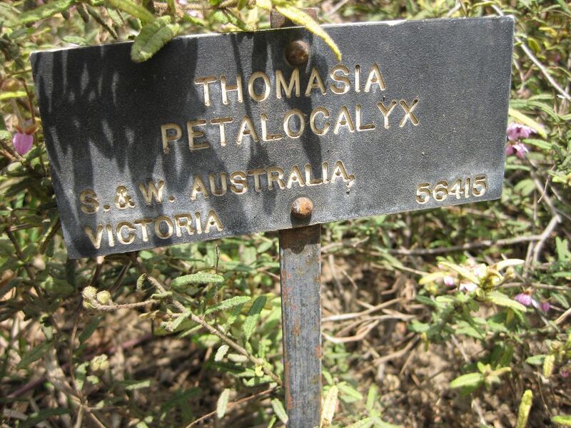 File:1280px-IMG 4582 hunt0904.jpg