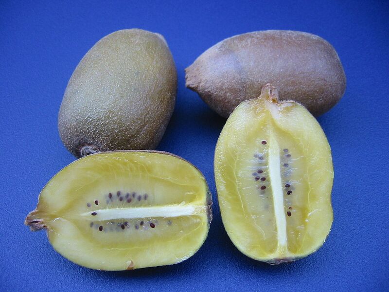 File:1280px-New Zealand Golden Kiwifruit-darkblue.jpg