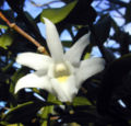 Thumbnail for version as of 05:05, 15 April 2007