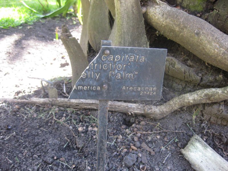 File:IMG 2103 hunt0903.jpg