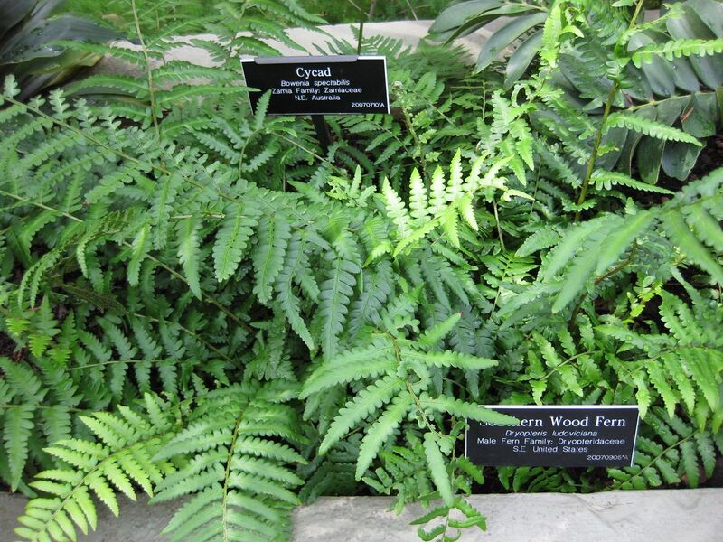 File:1280px-IMG 0917 bbg09.jpg