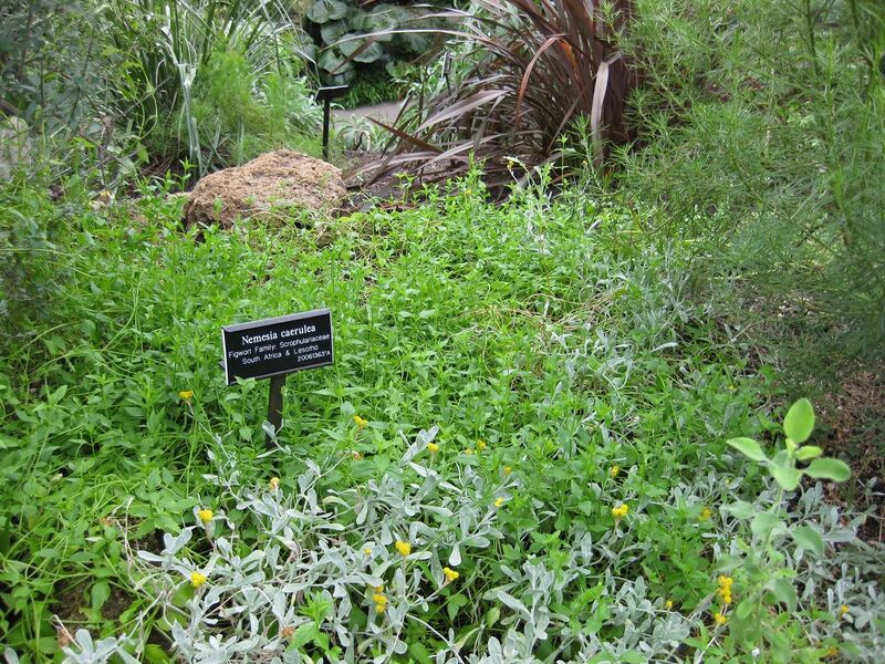 File:1280px-IMG 1238 bbg09.jpg