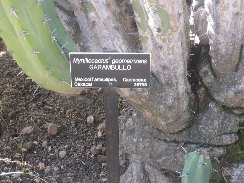 File:1280px-IMG 2287 hunt0903.jpg