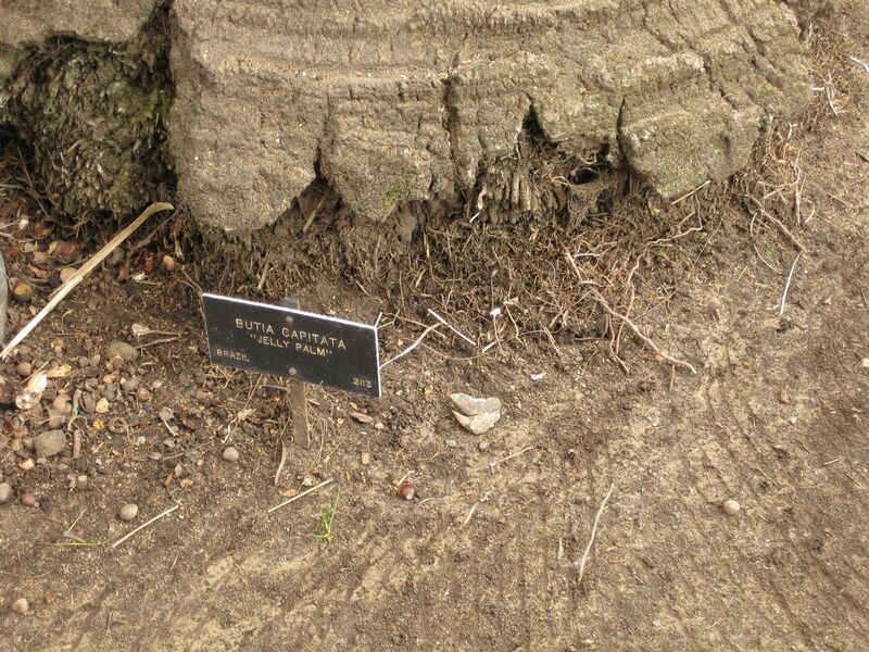 File:1280px-IMG 3967 hunt0904.jpg