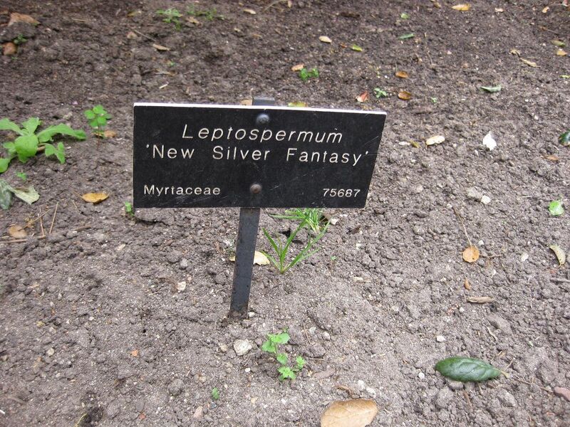 File:1280px-IMG 4649 hunt0904.jpg