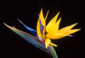 Thumbnail for version as of 18:40, 19 March 2008