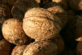 English Walnut nuts