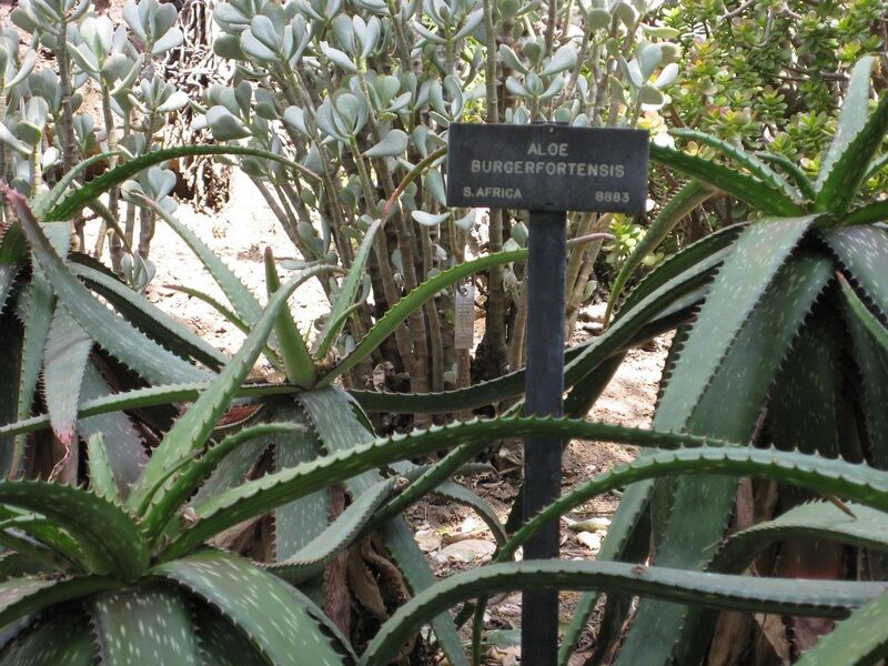 File:1280px-IMG 4338 hunt0904.jpg