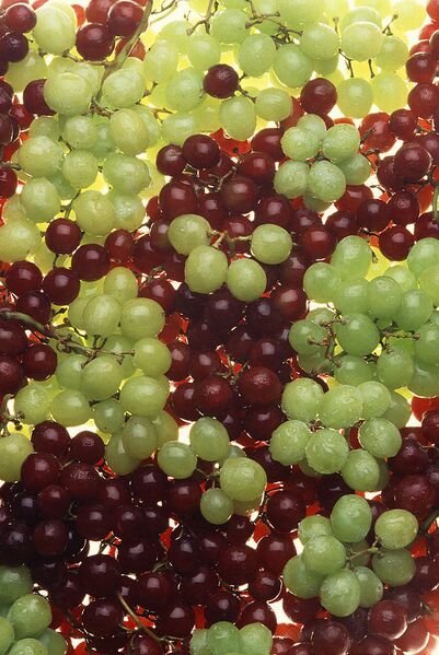 File:685px-Ripe grapes.jpg