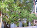 Thumbnail for version as of 08:46, 16 October 2007