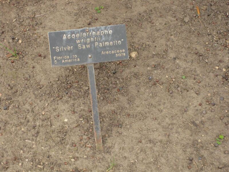 File:1024px-IMG 4050 hunt0904.jpg
