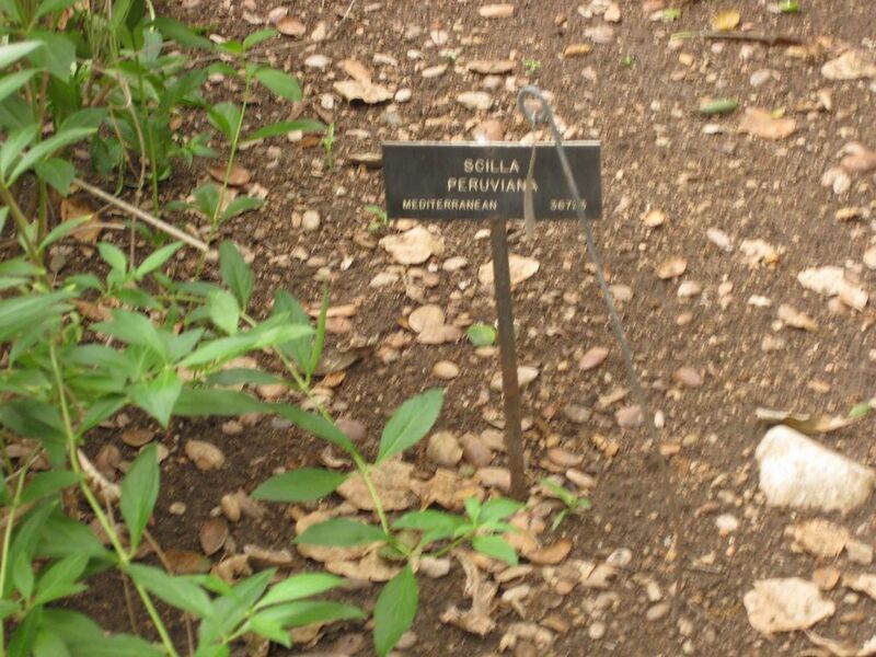 File:1024px-IMG 6993 hunt09jun.jpg