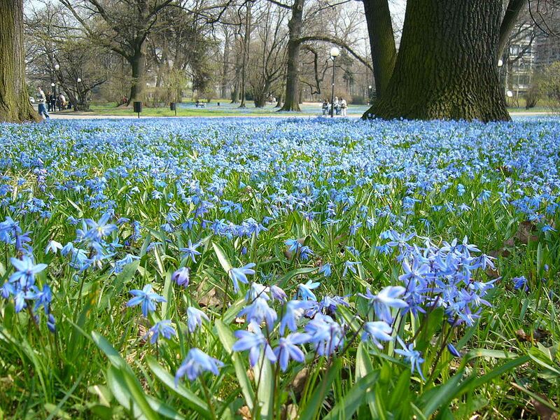 File:1024px-Park Klepacza Lodz.jpg