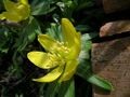 Thumbnail for version as of 08:58, 29 April 2025