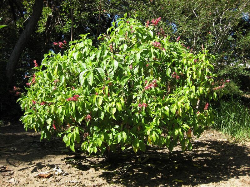 File:1280px-IMG 2004 hunt09oct.jpg