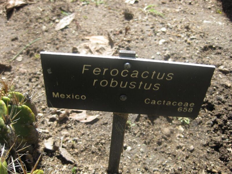 File:1280px-IMG 2201 hunt0903.jpg